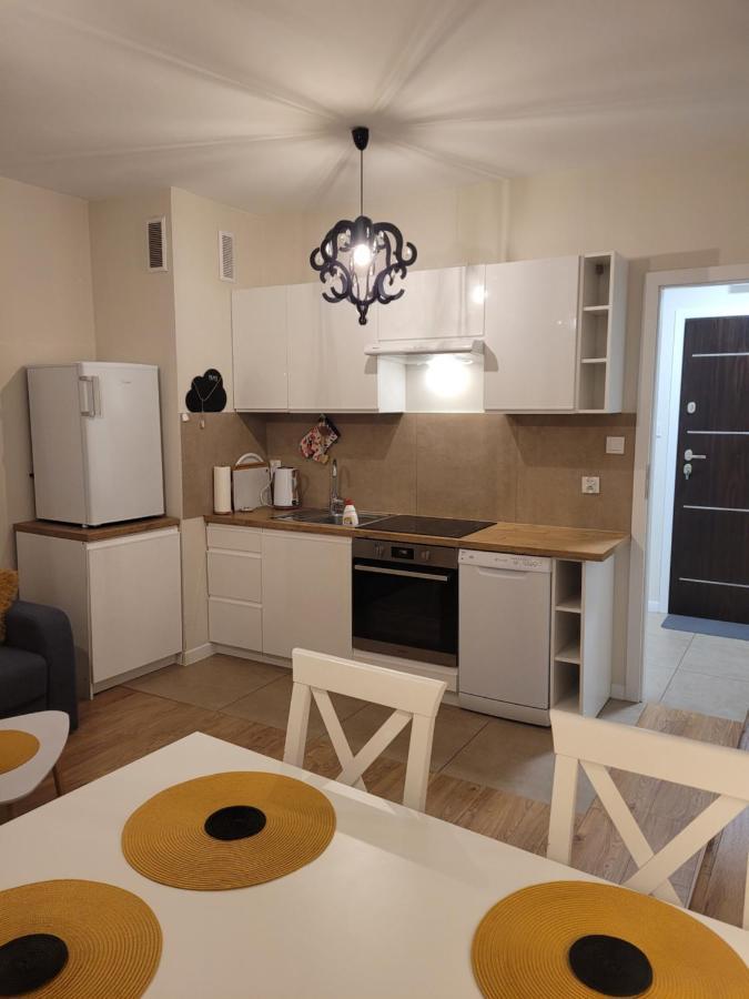 Apartament-Sadowa 埃尔布隆格 外观 照片